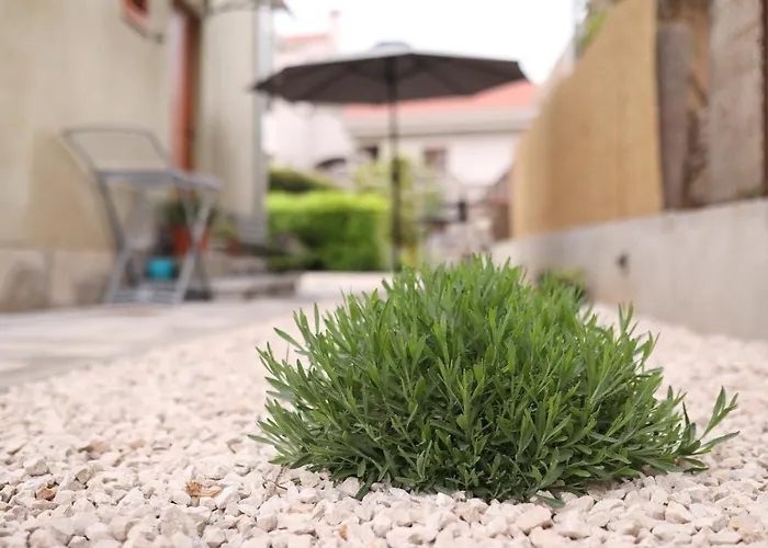 And Mare * 扎达尔